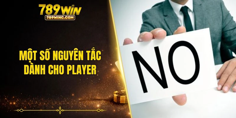 Một số nguyên tắc dành cho player quy định trong chính sách miễn trách nhiệm 789WIN