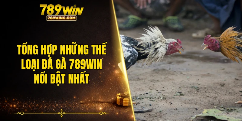 Tổng hợp những thể loại đá gà 789WIN nổi bật nhất